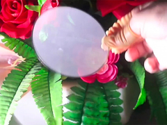 شبكة تصفية مع حفرة للفول إلى الفول