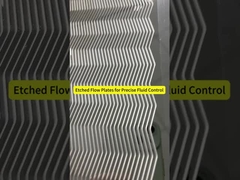 لوحات ثنائية القطب المخصصة للجيل القادم من خلايا وقود السيارات